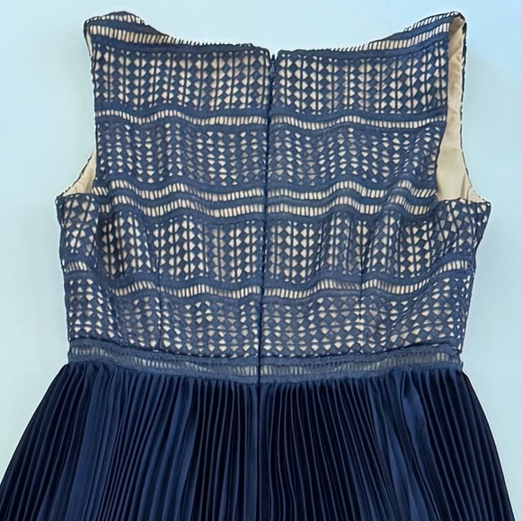 Adrianna Papell Eyelet Lace Pleated High/Low Evening Maxi Floor Length Dress, 6 - Picture 10 of 14